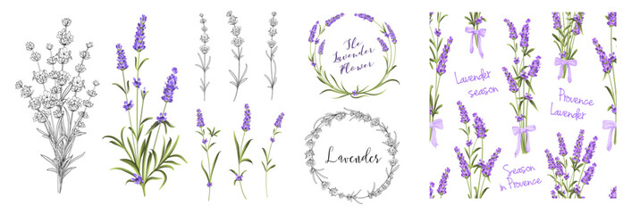 Set of different branches of lavender, pattern and circle frame on white background.  - 588602916