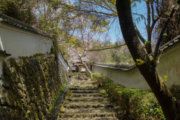 勝持寺の階段