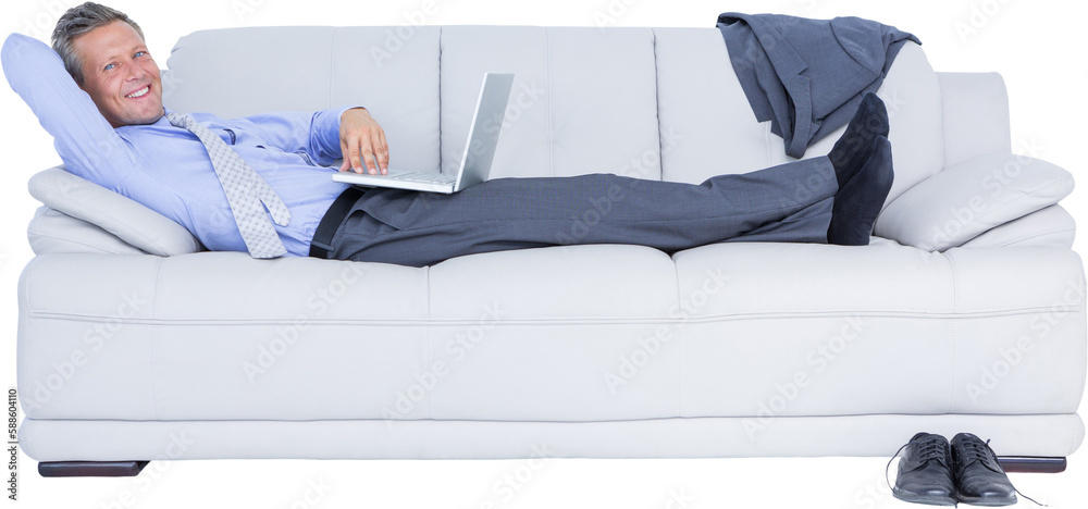 Poster Portrait of smiling businessman with laptop lying on sofa