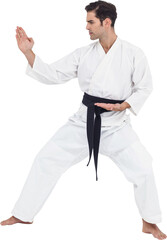 Fighter performing karate stance