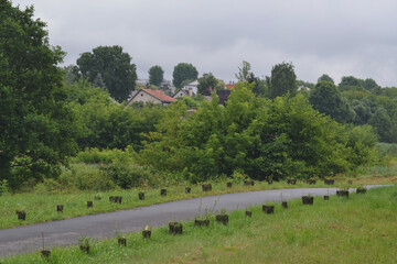 Fototapete bei efototapeten.de bestellen   