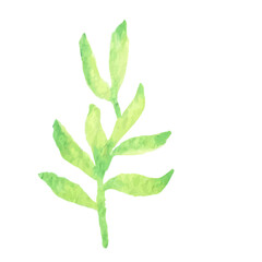 Watercolor Leaf