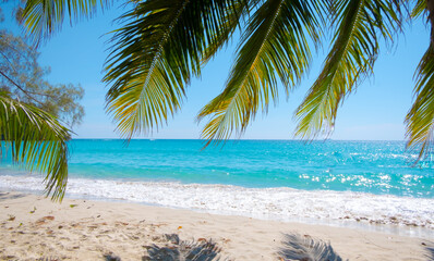 Obraz na płótnie Canvas palm leaves on the tropical sea beach background in Summer concept