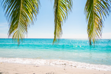 Fototapeta na wymiar palm leaves on the tropical sea beach background in Summer concept.