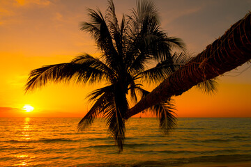 Fototapeta na wymiar Silhouette of beautiful sunset on the sea beach with palm tree for travel in holiday relax time, .