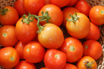 Red ripe tomatoes in a basket  with close up