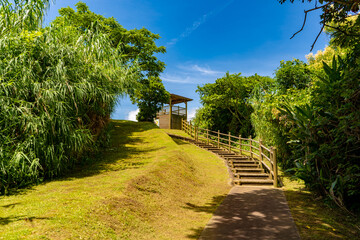 知林ヶ島南展望台の風景（指宿市）