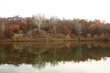 autumn trees reflected in water