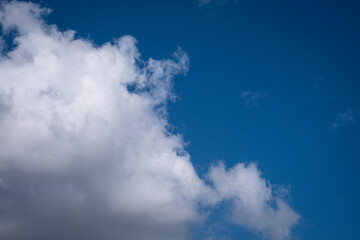 white clouds in the blue sky. cumulus.