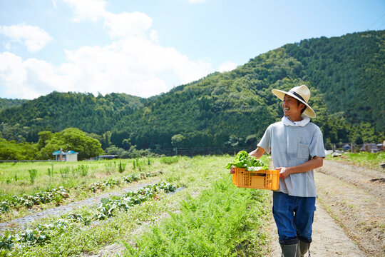野菜が入ったカゴを抱えて歩く男性