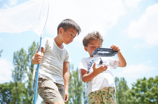 虫網とカブトムシが入った虫カゴを持つ兄弟