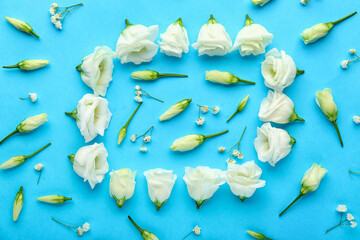 Composition with white eustoma and gypsophila flowers on color background