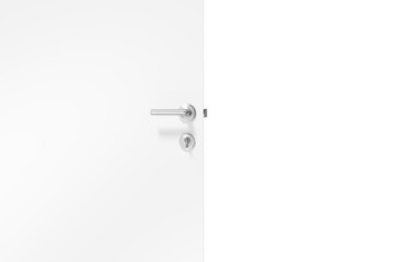 Door with metal doorknob and lock