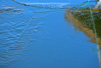The edge of melting river ice on a spring day