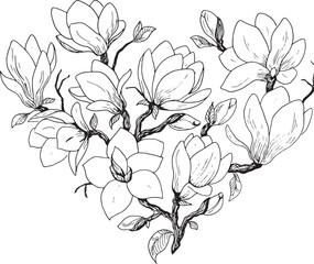 Vector illustration depicting magnolia flowers. Magnolia on a white background. outline flower