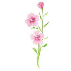 Fototapeta na wymiar Watercolor Flower