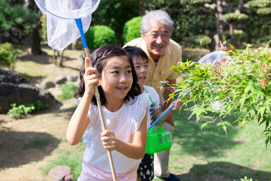 虫取りをする姉弟と祖父