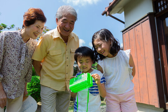 虫取りをする姉弟と祖父母