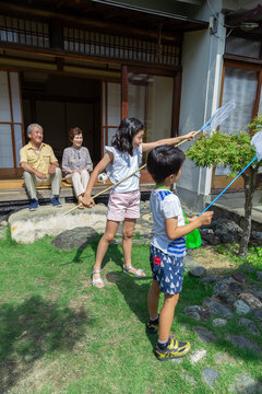 虫取りをする姉弟と祖父母