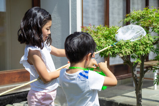 虫取りをする姉弟