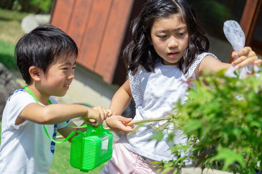虫取りをする姉弟
