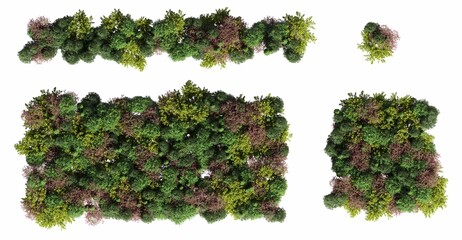 trees in the forest, top view, area view, isolated on white background, 3D illustration, cg render © vadim_fl