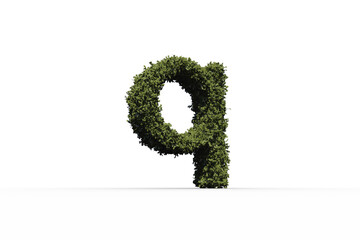 Letter q made of leaves