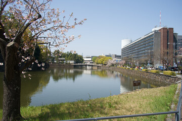 Obraz premium 東京・千代田区・皇居の池