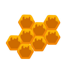 Honeycomb vector illustration isolated on the white background