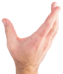 Deurstickers Hand presenting © vectorfusionart