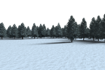 Digitally generated image of forest on snowy field