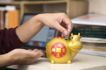 Put coins into the golden calf piggy bank