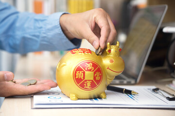 Financial investment in the golden calf piggy bank