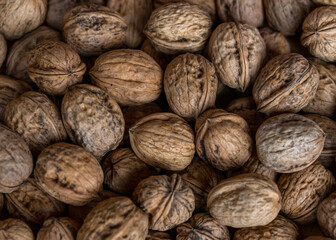 top-down view of many organic walnuts just after harvesting