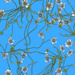 Seamless floral pattern with wild white anemones with stems on light blue background.