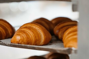 croissant on a plate