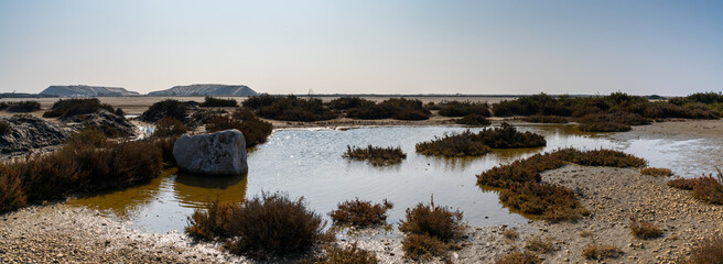 panorama view of the salines and salt marsh in Salins-de-Giraud in the Camargue of southern France © makasana photo