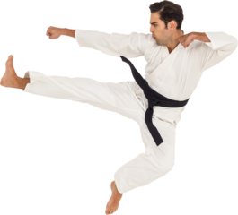 Fighter performing karate stance