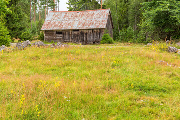 Fototapeta na wymiar Flowering meadow at an abandoned old shed
