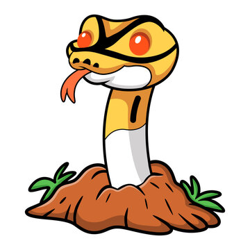 Cute albino pied ball python cartoon out from hole