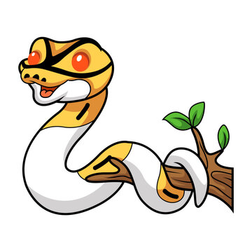 Cute albino pied ball python cartoon on tree branch