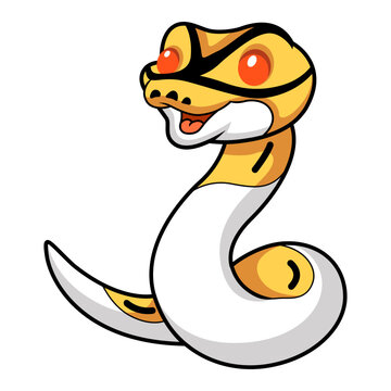 Cute albino pied ball python cartoon