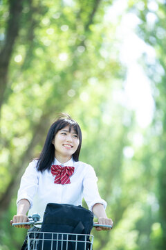 ポプラ並木で自転車に乗る女子学生
