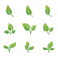 Leaves vector set gradient green color isolated on white background. Leaf icons.