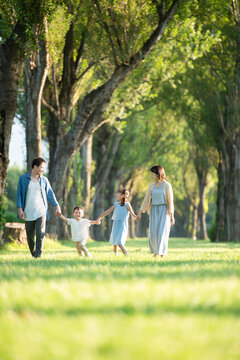 ポプラ並木を歩く家族