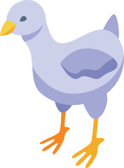Baby chick icon isometric vector. Egg bird. Small farm