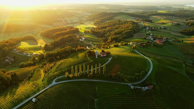 Aerial drone 4K footage of Prlekija in the morning during sunrise. Prlekija is a picturesque region in northeastern Slovenia known for its rolling hills, lush vineyards, and rich cultural heritage.