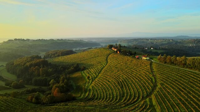 Aerial 4K drone footage of Kog during sunrise. It is a village in the hills northeast of Ormož in northeastern Slovenia, right on the border with Croatia.