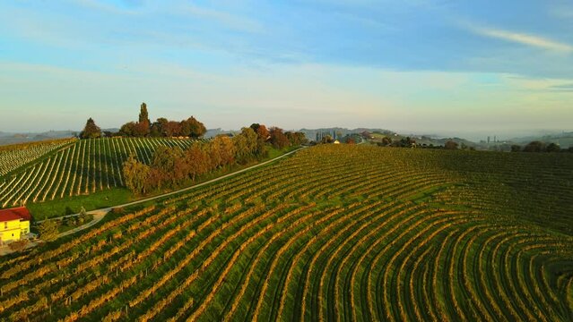 Aerial 4K drone footage of Kog during sunrise. It is a village in the hills northeast of Ormož in northeastern Slovenia, right on the border with Croatia.