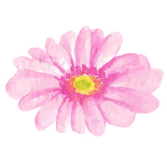 Watercolor Daisy Flower